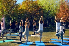 yoga-outdoor